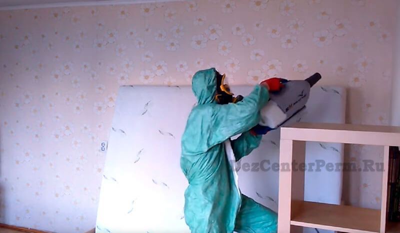 дезинсекция в Перми