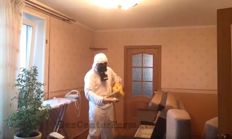 Дезинсекция от насекомых Пермь